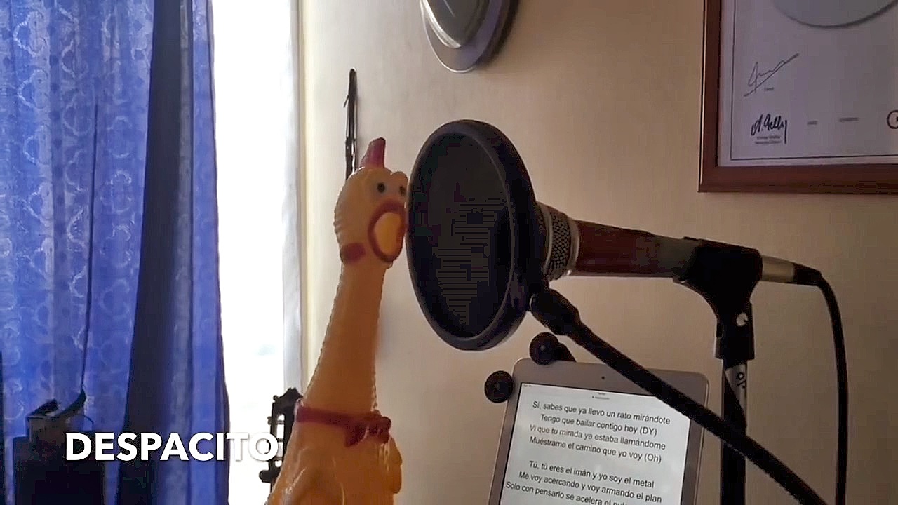 The Big Show Video of the Day Despacito Chicken