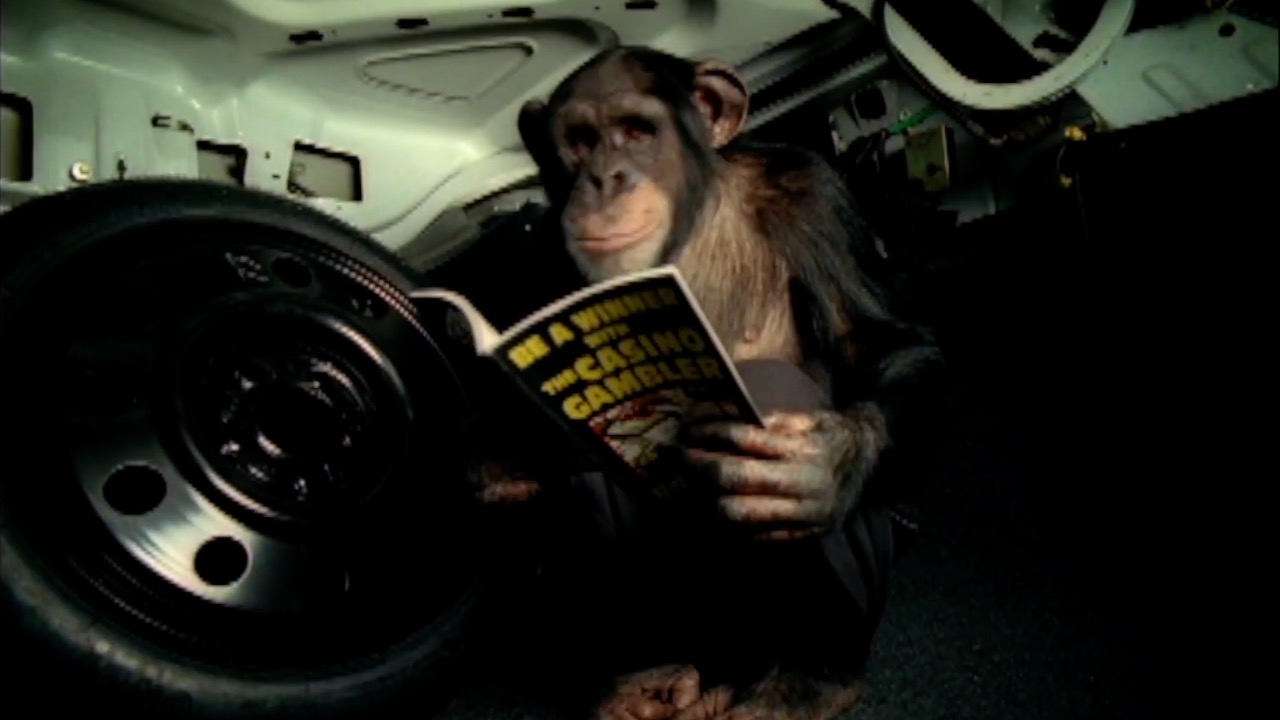 The Big Show Video of the Day The Trunk Monkey Theft Retrieval System