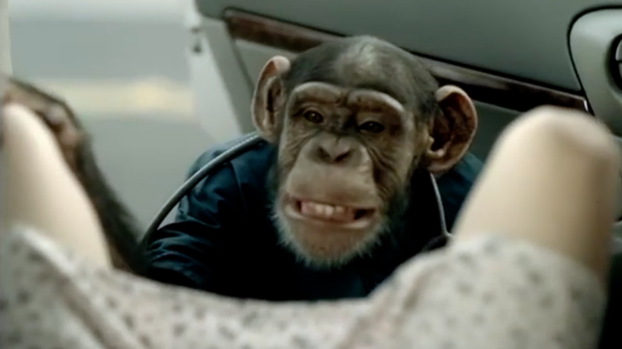 The Big Show Video of the Day The Trunk Monkey Pediatric Edition