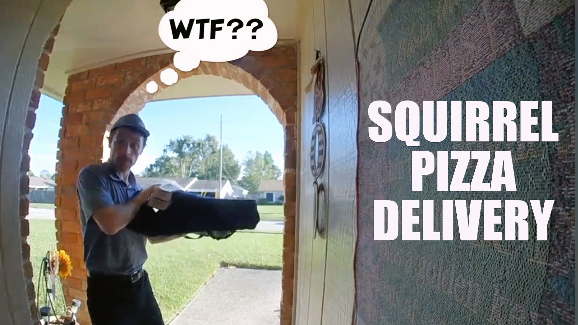 The Big Show Video of the Day Squirrel Pizza Delivery